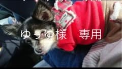ゆぅゆ様　専用ページのサムネイル