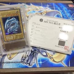 m89134265453_1.jpg?1707641833