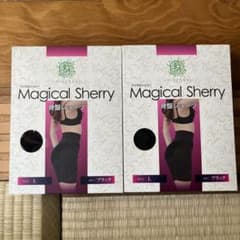 Magical Sherry 骨盤ショーツ Lサイズ ブラックのサムネイル