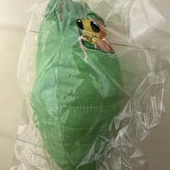 昆虫　MANIAC アゲハ幼虫 サナギ　アゲハヒメバチ　リバーシブル　ぬいぐるみ