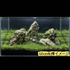 MQS-5438 気孔石8kgセット 特大親石 水槽用石　黄虎石　アクアリウム sddefault.jpg