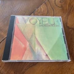 David Sanborn VOYEURのサムネイル