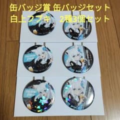一番くじ ホロライブ 缶バッジ賞 缶バッジセット 白上フブキ 2種3個