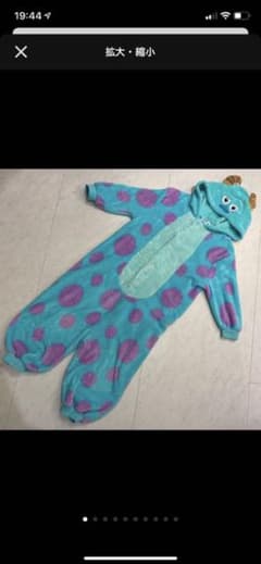 サリー 着ぐるみ 美品のサムネイル