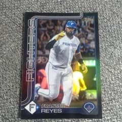FRANMIL REYES FIGHTERS 限定カード 10/10のサムネイル