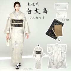 グ*マ様 モ46 未使用近い　美品　袷　正絹　白大島　白紬　大島紬　フルセット 未着用 白大島 本場大島紬 フルセット 新品たとう紙付き トールサイズ