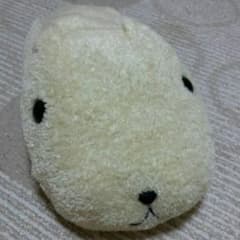 카피바라씨 봉제인형