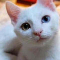 ぷみ様専用☆のサムネイル