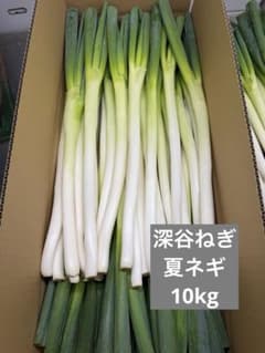 最安値】深谷ねぎ 夏ネギ10kg 即日発送 - メルカリ