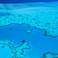 返信用のサムネイル