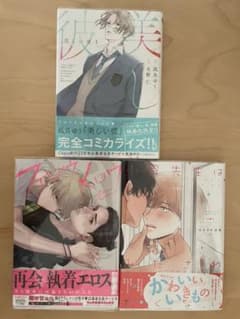 美しい彼(1)／小泉先生はみだされたくない／フェロウメロウのサムネイル
