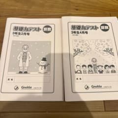 Gnoble 基礎力テスト 算数 3年生 2月・4月 - メルカリ