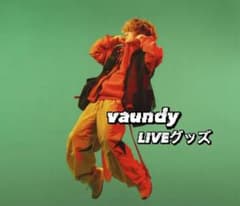 Vaundy ライブグッズ タオル キーホルダー ポスター 完売品 レア