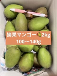 摘果マンゴー　2kgのサムネイル