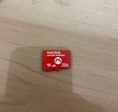 SanDisk microSD Express 256GBのサムネイル