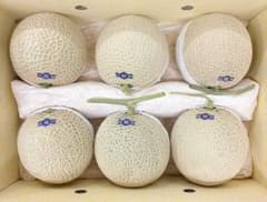高知県産 温室マスクメロン 6玉入り 約8.1㎏（箱込み） - メルカリ