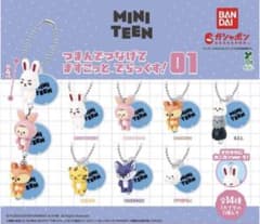 MINI TEEN つまんでつなげてますこっとのサムネイル