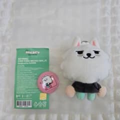 TXT プルバトゥ ヨンモン キーリング 初代 初期PPULBATU 缶バッジ