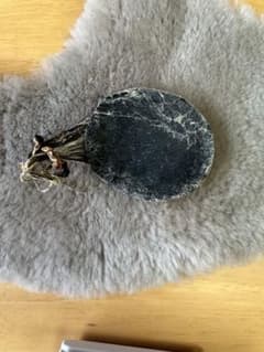 熊の胆嚢　熊の胃のサムネイル