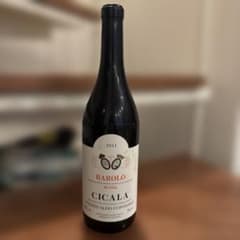 2011 バローロ ブッシア チカラ アルドコンテルノ BAROLO 2011 バローロ ブッシア チカラ アルドコンテルノ BAROLO - メルカリ