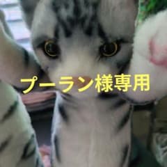 터치 ZOO 냥코