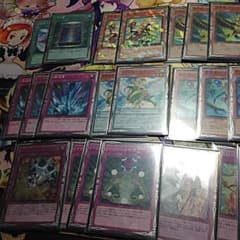 霊獣デッキのサムネイル