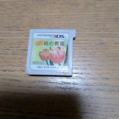 Nintendo 3DS 新絵心教室 ソフトのサムネイル