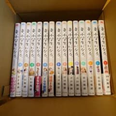 妻、小学生になる。全巻セットのサムネイル