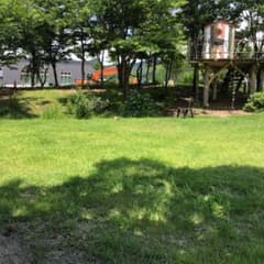 がす様用のサムネイル