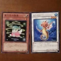 おまけ付き たつのこ  異次元の精霊のサムネイル