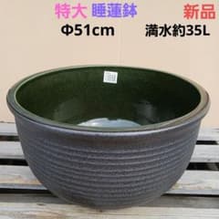 新品　特大51　陶器睡蓮鉢　メダカ鉢　難有　エメラルドグリーン　緑黒　高級LBK 新品 特大51 陶器睡蓮鉢 メダカ鉢 難有 エメラルドグリーン 緑黒 高級
