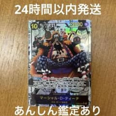 m89177819931_1.jpg?1725077323