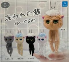 洗われた猫 ぬいぐるみ 6個 バラ売りあり - メルカリ