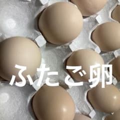 ふたご卵50個※Aのサムネイル