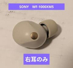 美品】SONY WF-1000XM5 右耳のみ シルバー - メルカリ
