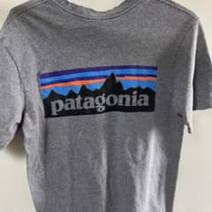 Patagonia パタゴニア ポケットTシャツ グレー