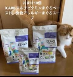 新品未開封ELMO 成猫用ドライフード 2kg2袋400g1袋おまけ10個 - メルカリ