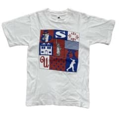 【90s/USA製】フルーツオブザルーム アートプリント Tシャツ アメリカのサムネイル