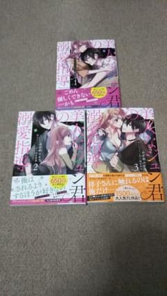 美人なジュン君の溺愛指導1～3巻のサムネイル