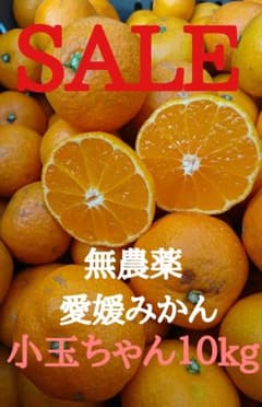 Sale!! 愛媛県産 無農薬みかん(南柑20号)１０kgのサムネイル