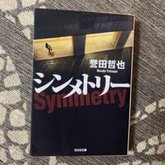 シンメトリーのサムネイル
