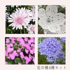 花の種セット　イングリッシュガーデンのサムネイル