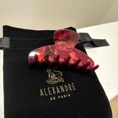 ALEXANDRE DE PARIS ヘアクリップ - メルカリ