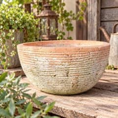 ❖苔むしテラコッタ　 植木鉢 　ガーデニング❖のサムネイル