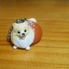 犬パンのサムネイル