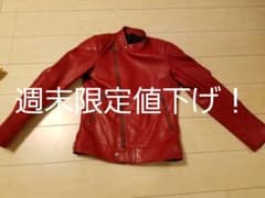 Plegeライダースジャケット　BEAMS、ショット、バンソン、ラングリッツのサムネイル