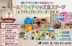 値下【豪華おまけ】ワールドワイドキッズ　フォニックス教材セット 超メルカリ市価格 未使用多数【最新版タッチペン付フルセット】 ワールドワイドキッズ