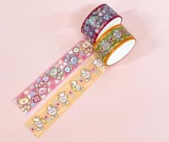 【新品•未使用】Can★Do× SWIMMERクリアテープ2種セットのサムネイル