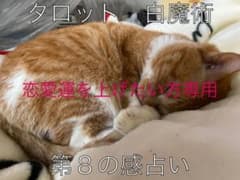 タロット　占星術　第８の感占い　6センス占い　本気で占いますのサムネイル