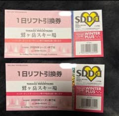 鷹ヶ岳スキー場 1日リフト引換券 2枚セット - メルカリ